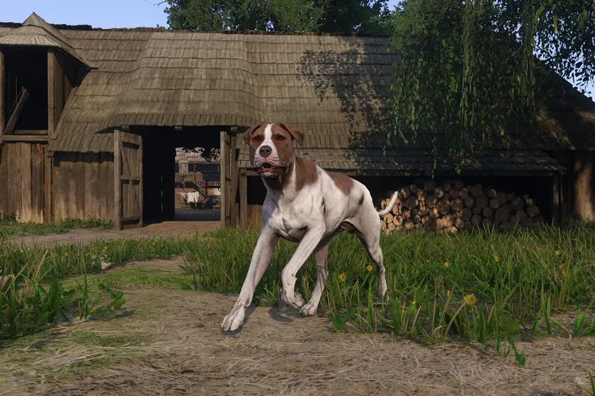 Temui Cara Dapatkan Semula Anjing Chucho di Kingdom Come Deliverance